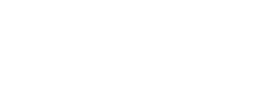 MIR Festival